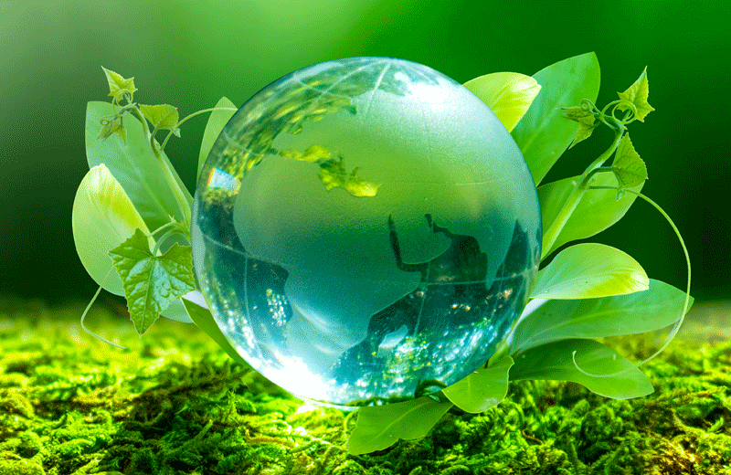 主要子公司・关联公司